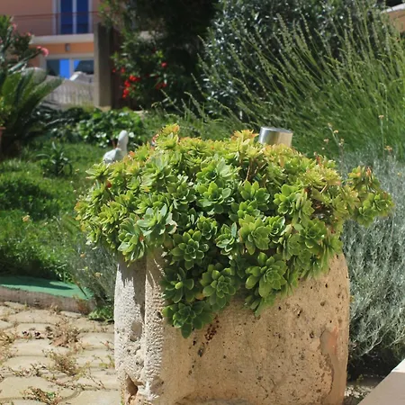 Apartment With Parking Space Orebic, Peljesac - 10151