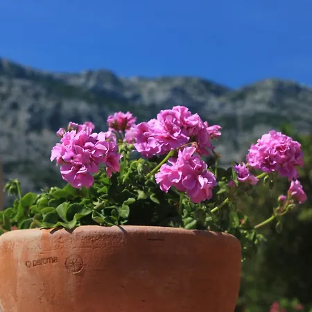 With Parking Space Orebic, Peljesac - 10151