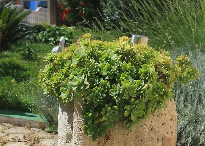 Appartamento With Parking Space Orebic, Peljesac - 10151