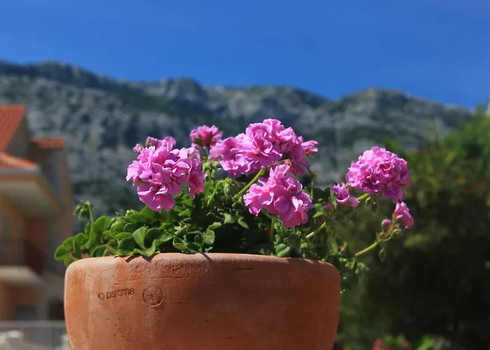 With Parking Space Orebic, Peljesac - 10151